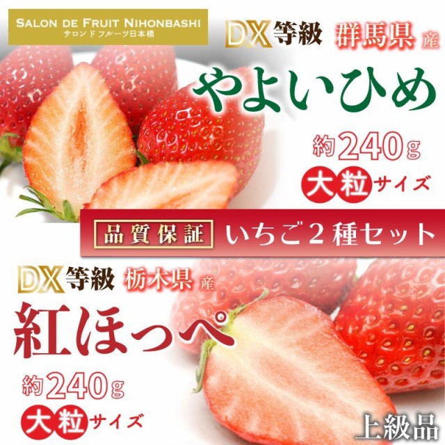 おしゃれ 最短順次発送 いちご食べ比べセット やよいひめ 紅ほっぺ 約240g 2 Dx 大粒 美味しい いちご 上級品 公式ストア Taisei Estate Co Jp