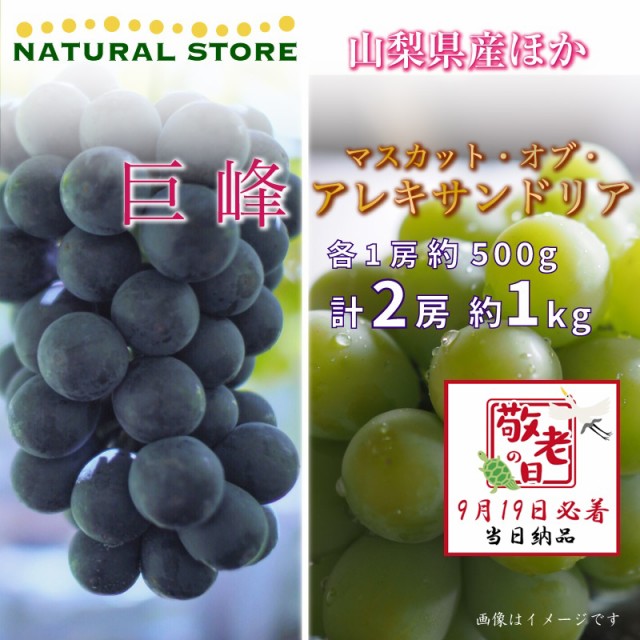 [予約 9月19日必着] 巨峰 マスカットオブアレキサンドリア 各1房 約1kg 500g ぶどう 敬老の日 まだ間に合う