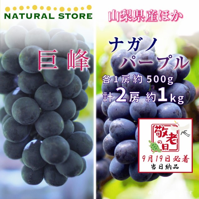 [予約 9月19日必着] 巨峰 ナガノパープル 各1房 約1kg 500g 山梨県 長野県 ぶどう 敬老の日 まだ間に合う