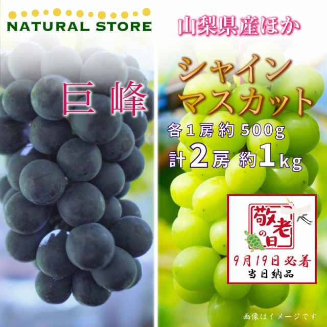 [予約 9月19日必着] 巨峰 シャインマスカット 各1房 約1kg 500g 山梨県産他 ぶどう 敬老の日 まだ間に合う