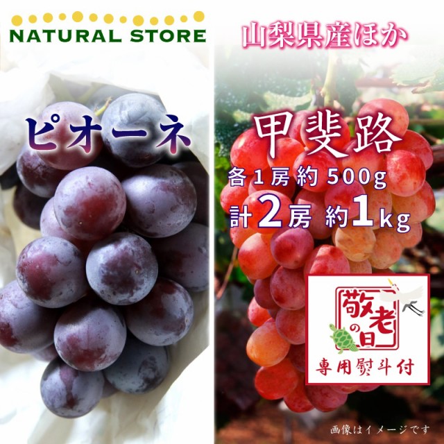 [予約 9月19日必着] ピオーネ 甲斐路 各1房 約1kg 500g 山梨県産他 ぶどう 敬老の日 まだ間に合う