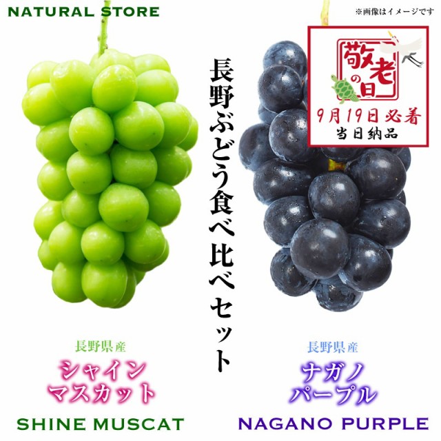 [予約 9月19日必着] シャインマスカット ナガノパープル 特大 長野県産 ぶどう 敬老の日 まだ間に合う