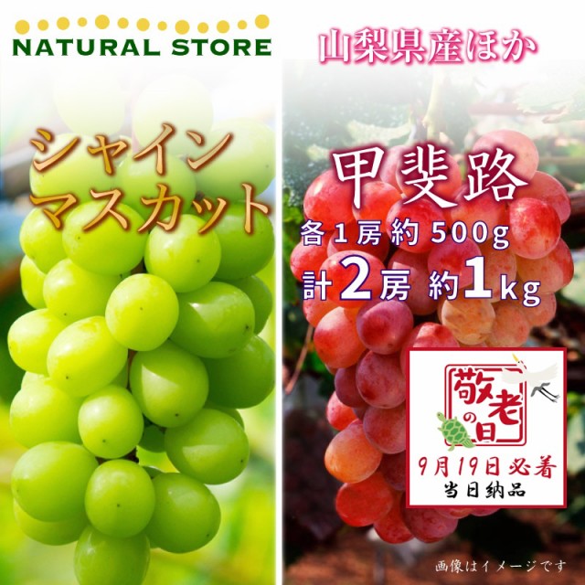 [予約 9月19日必着] シャインマスカット 甲斐路 各1房 約1kg 500g 山梨県産他 ぶどう 敬老の日 まだ間に合う