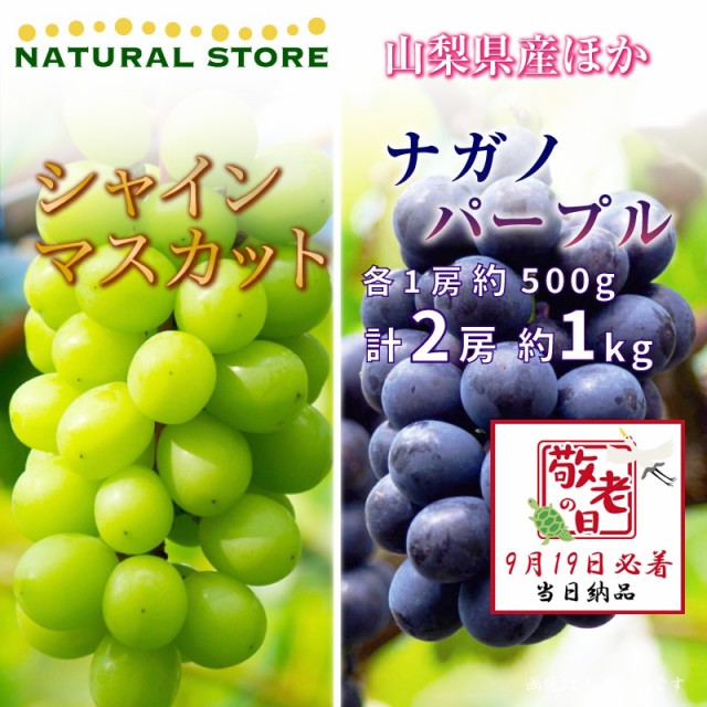 [予約 9月19日必着] シャインマスカット ナガノパープル 各1房 約1kg 500g山梨県産他 ぶどう 敬老の日 まだ間に合う