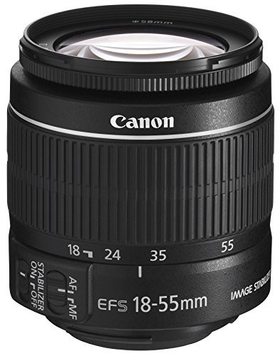 Canon 標準ズームレンズ EF-S18-55mm F3.5-.5.6 IS II APS-C対応（中古品）