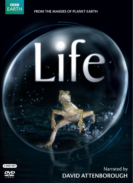 Life [DVD] [Import](中古品)