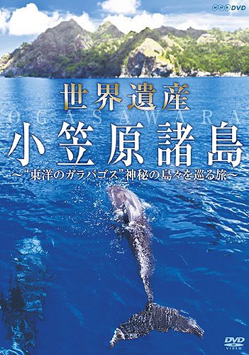 世界遺産 小笠原諸島 “東洋のガラパゴス%ﾀﾞﾌﾞﾙｸｫｰﾃ%神秘の島々を巡る旅 [D(中古品)