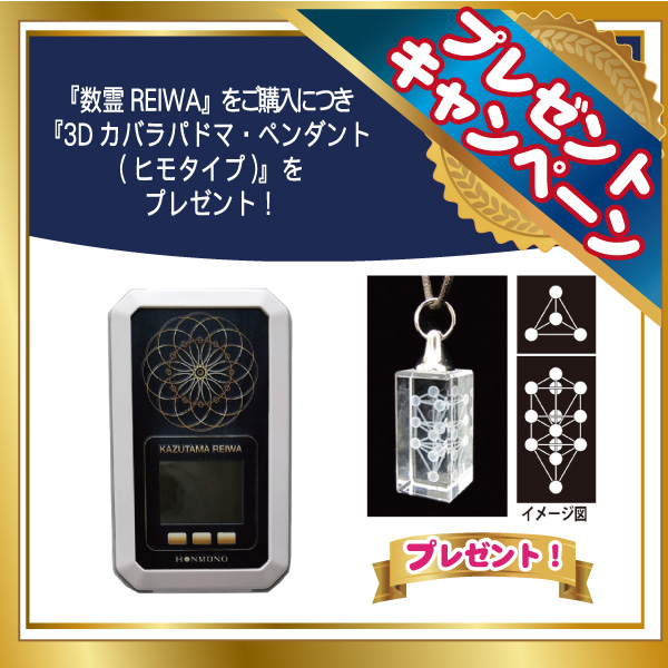 専用⭐️数霊REIWA 本物研究所