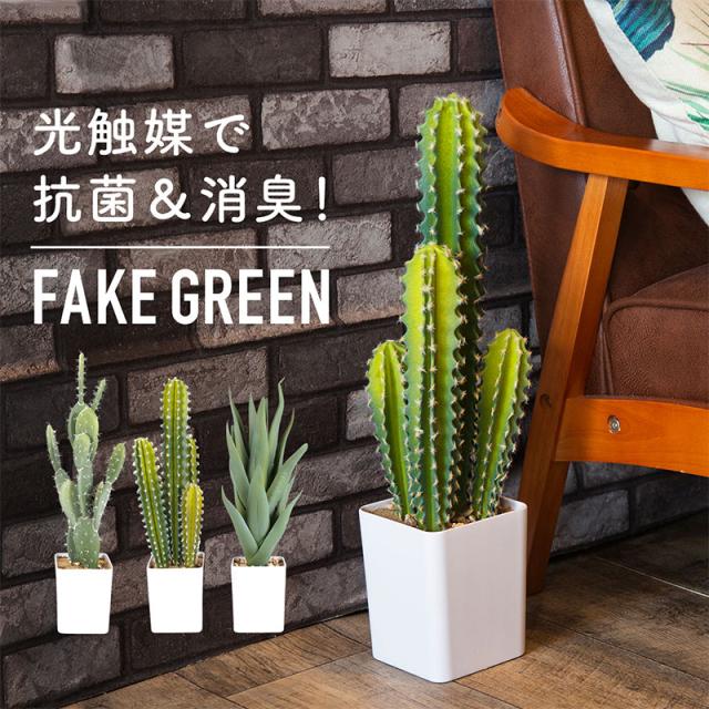 ランキング１位受賞 観葉植物 光触媒 フェイク おしゃれ 花 造花 鉢 フェイクグリーン 多肉植物 サボテン 大型 約60cm 消臭 抗菌 置物 希少 Diquinsa Com Mx