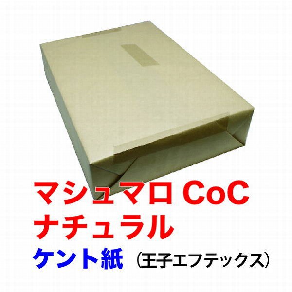 まとめ）王子エフテックス マシュマロCoCナチュラル A4T目 157g 1冊