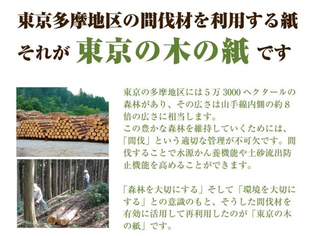 公式ストア コピー紙 再生コピー用紙 東京の木の紙 130g M2 A4 270枚 エコ 古紙 温かみ 暖色 リサイクル パルプ 非加熱 無薬品 おしゃれ 日本未入荷 入手困難 Diquinsa Com Mx