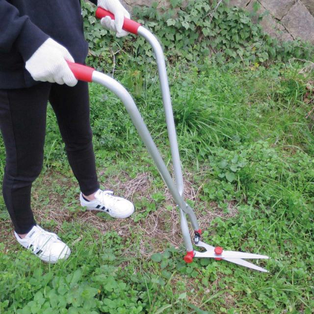 在庫あり 即納 鋏 ハサミ 刈込鋏 シャープナー 油 セット 切れ味 復活 ダイヤモンドシャープナー 万能 お手入れ油 ステンレス刃 草刈り 手入れ 公式ストア Viajesturisticosdelpacifico Com