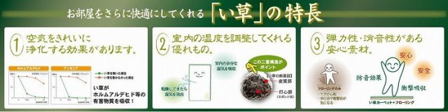 リコメン 国産い草センターラグ PAY マーケット - リコメン堂|商品ロットナンバー:359006704 エンペラー 約200×200cm GN(代引不可)の通販はau のみを