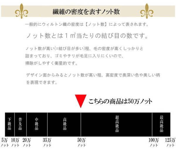 特価HOT ドイツ製 ウィルトン織り カーペット モンデリー RUG ネイビー 約200×300cm(代引不可)の通販はau PAY マーケット - リコメン堂|商品ロットナンバー:309575986 大得価低価