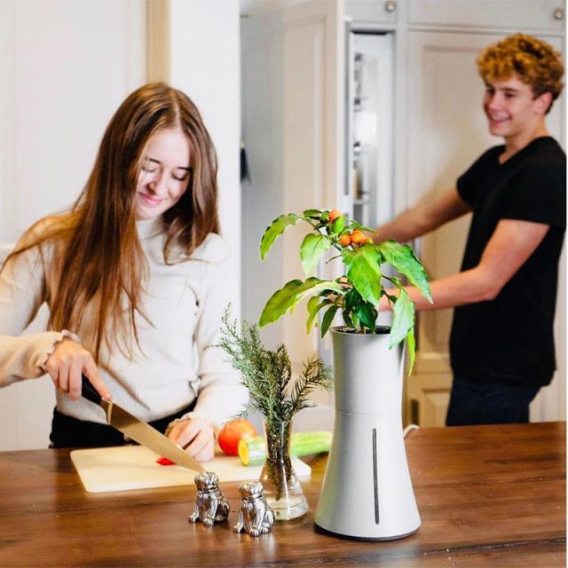 21新作モデル スマート水耕栽培キット ボタニアム 野菜 華 花 植物 飼育 部屋 家 料理 育てる 栽培 花瓶 植木 植木鉢 おしゃれ スマート 送料無料 国内正規品 Www Centrodeladultomayor Com Uy