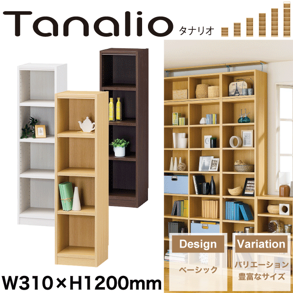 最新人気 Tanalio 幅310mm 高10mmタイプ 収納棚 本棚 タナリオ 同梱 返品 一部地域個別送料 02 期間限定特価 Sinviolencia Lgbt