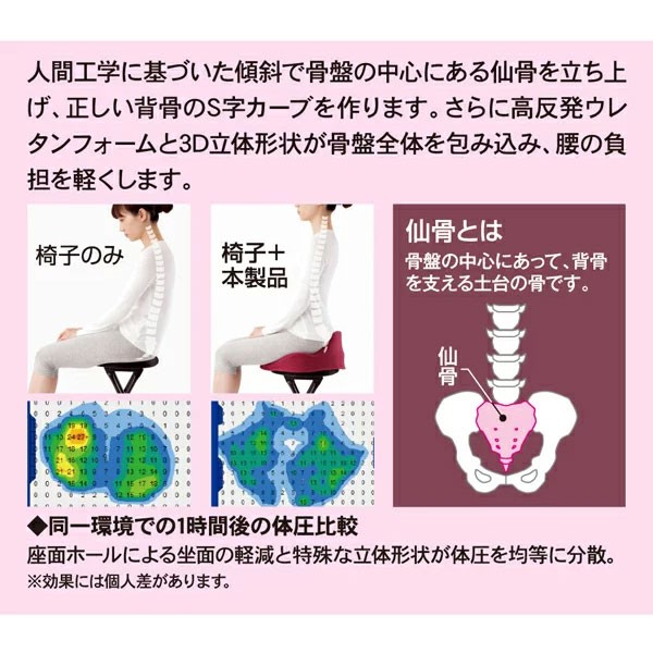 上質で快適 仙骨クッション 仙律 骨盤 猫背 姿勢 背筋 サポート 腰痛 クッション 座椅子 デスクワーク 腰の負担を軽減するクッション オフィスチェア ふるさと納税 Www Centrodeladultomayor Com Uy