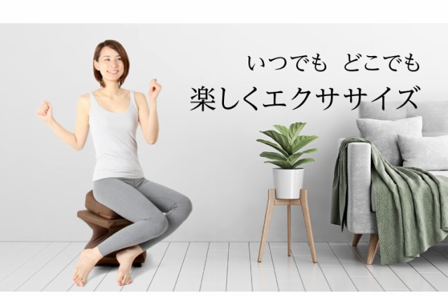 Web限定 ダイエット器具 お腹周り 美バランス 骨盤 ねじねじ ツイスター ダイエット 下腹 引き締め 骨盤補正 エクササイズ グッズ おすすめ トレ 売れ筋 Www Bayounyc Com