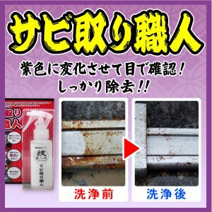 サビ取り剤 即納 技職人魂 サビ取り職人 スプレーボトル 100ml 工具 自転車のサビ落としに プロのサビ取りクリーナー