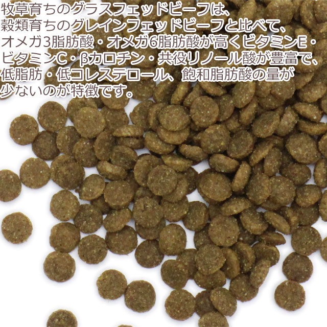 KiaOra キアオラ キャットフード ラムu0026レバー 300gグレインフリー