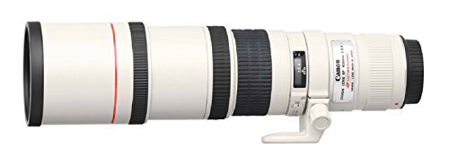 Canon 単焦点超望遠レンズ EF400mm F5.6L USM フルサイズ対応(中古品)