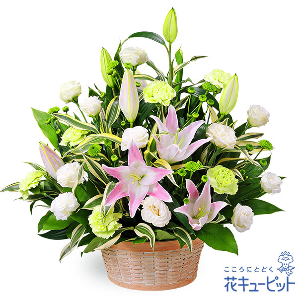 本店は 15時迄の注文で翌日届可 お供え お悔やみの献花 仏花 供花 法要 法事 仏事 弔事 枕花 お盆 お彼岸 初盆新盆 四十九日 一周忌 花キ 大注目 Univ Ouaga3s Com