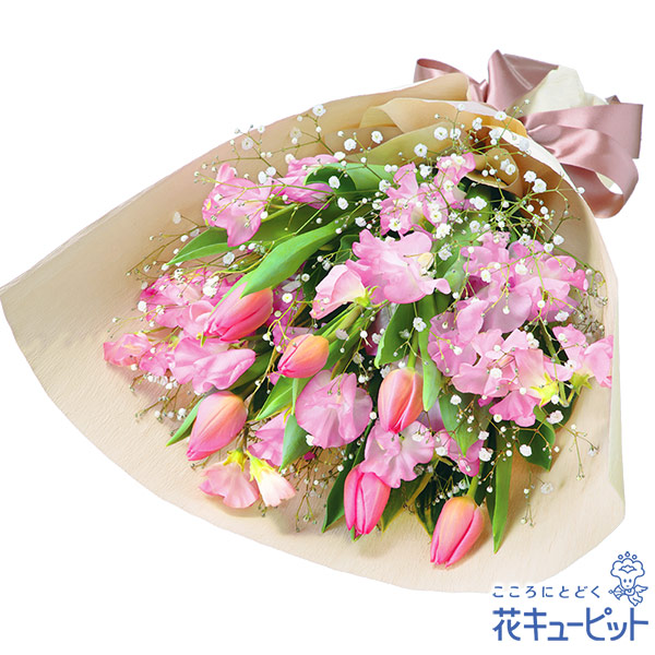 1月の誕生花 スイートピー お祝い 記念日 お礼 両親 父母 友達 友人 プレゼント フラワーギフト 花キューピットのチューリップ 生花 切り花 1月の誕生花 スイートピー お祝い 記念日 お礼 両親 父母 友達 友人 プレゼント フラワーギフト 花キューピットのチューリップ 生花 切り花