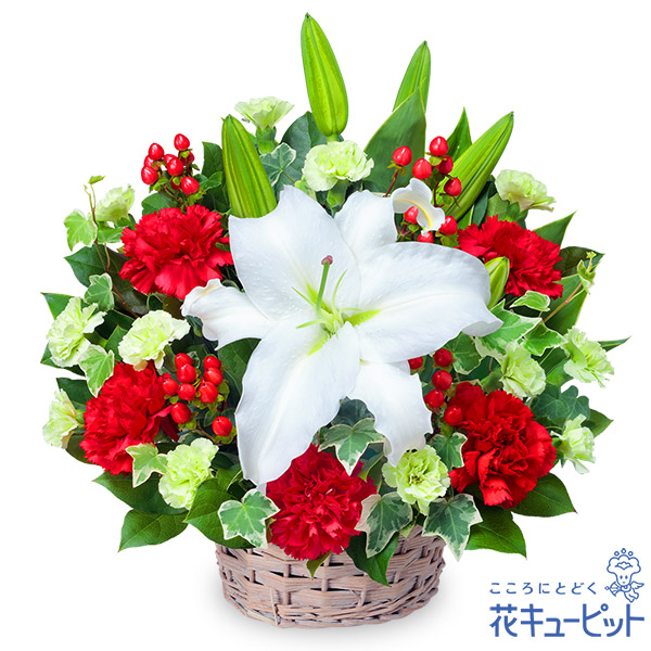 花 ギフト 開設 移転 引越 記念日 お祝い プレゼント 花キューピットの白ユリのアレンジメント