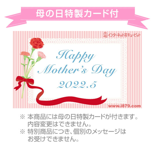 母の日産直ギフト 母の日あじさい ブルーダイヤモンド 女性 母 祖母 誕生日 お祝い 記念日 プレゼント の通販はau Wowma ワウマ インターネット花キューピット 商品ロットナンバー