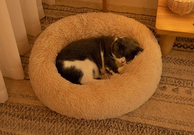 新規購入 ペットベッド 犬 猫 ベッド 洗える寝具 Mサイズ ふわふわ クッション 暖かい ペットクッション 新規購入 ペットベッド 犬 猫 ベッド 洗える寝具 Mサイズ ふわふわ クッション 暖かい ペットクッション