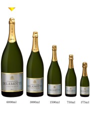 シャンパーニュ　ドゥラモット　ドゥラモット　ブリュット　[NV]　6000ml　白　Champagne DELAMOTTE Delamotte Brut