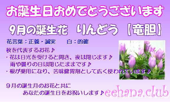 メール 9月の誕生花おまかせフラワー10 000円 マーケット いいhana倶楽部 商品