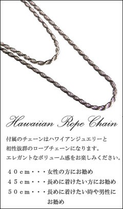 日本製定番 ペアフィッシュフックペンダント マーケット - Rose Glitter|商品ロットナンバー:167348978 S&M/ハワイアンジュエリー/チェーン付/お得なペアジュエリーの通販はau PAY 最新作格安