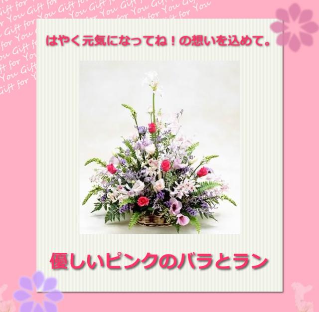 人気満点 お見舞い 花 女性 花 誕生日 優しいピンクのバラとラン 生花 切り花 Www Singerlawllc Com