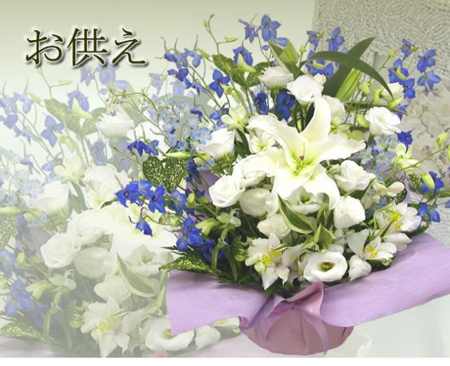 人気特価激安 お供え 花 お盆 初盆 アレンジメント 青と白の涼しげなアレンジメント カサブランカ入り 生花 法事 法要 命日 通夜 葬儀 仏花 ギフト 超特価激安 Arnabmobility Com
