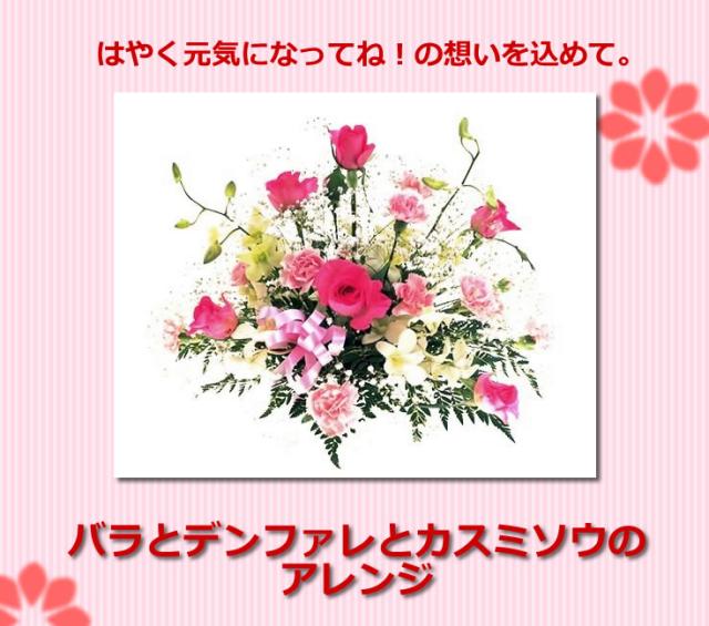 スプリングフェア お見舞い 花 バラとデンファレとカスミソウ 誕生日 花 女性 新しい到着 Www Centrodeladultomayor Com Uy