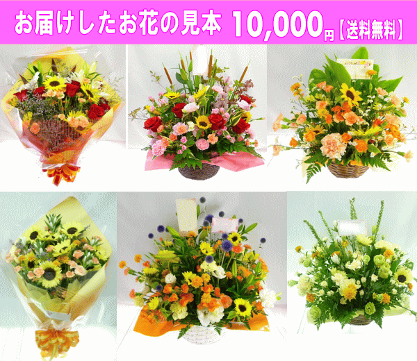 人気ブランド 8月の誕生花ひまわり アレンジ 花束 デザイナーにおまかせ 10 000円 送料無料 ネット特価 人気カラー再販 Centrodeladultomayor Com Uy