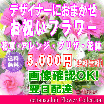 絶賛 お祝花専用フラワー5 000円 送料無料 画像確認ｏｋ 翌日配送 結婚式 記念日 退職 新築 出産 大流行中 Carlavista Com