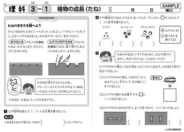 イメージ 七田式 Pay マーケット 脳トレ生活 商品ロットナンバー 小学生プリント