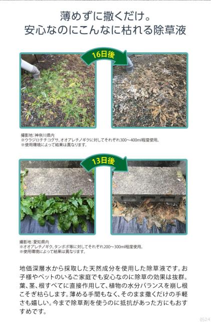 すごい 手作り 除草 剤 画像ブログ