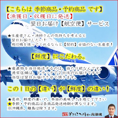 正規品お得 北方四島産 は濃厚で甘みやコクは絶品の通販はau PAY マーケット - どさんこファクトリー北海道|商品ロットナンバー:132543027 生エゾバフンウニ 100g×3 バフンウニ NEW安い
