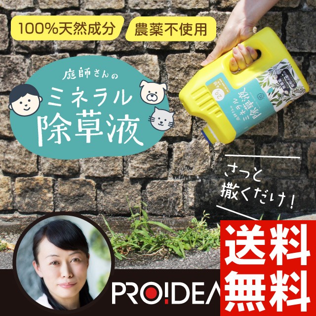 除草剤 送料無料 庭師さんのミネラル除草液 雑草対策に 無農薬なので 子供やペットにも安心 ジョウロヘッドだから使いやすい の通販はau Pay マーケット キレイサプリ 商品ロットナンバー