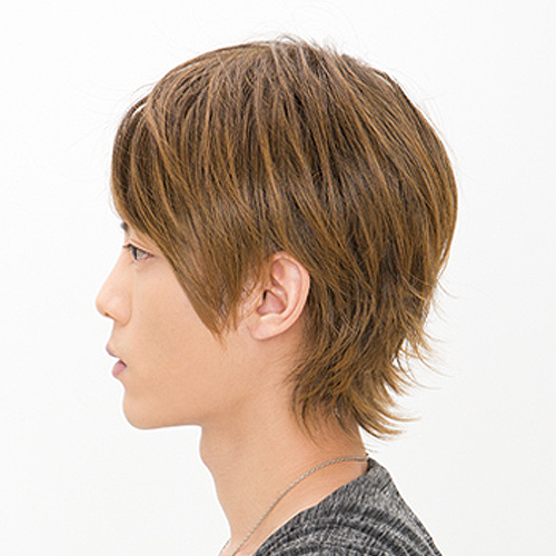 最終値下 メンズウィッグ スプラッシュショート ビターシナモンブレンド フルウィッグ ラパンドアールオム Lapin 男性用 カツラ イメチェン 数量限定 Carlavista Com