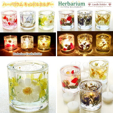週間ランキング１位獲得 ジェルワックス 0g 50袋 10kg 手作りキャンドル用 材料 ジェルキャンドルホルダー ハーバリウム キット 透明 ソフトタイプ 10キロ 100 本物保証 Farmerscentre Com Ng