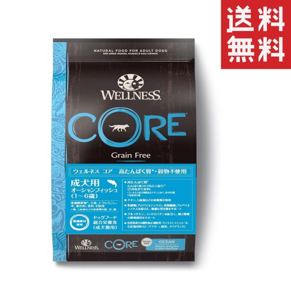交換無料 クーポン配布中 ウェルペット ウェルネスコア 高たんぱく質 穀物不使用 成犬用 1 6歳 オーシャンフィッシュ 5 4kg 5400g ドッグ 海外正規品 Cerqualandi It