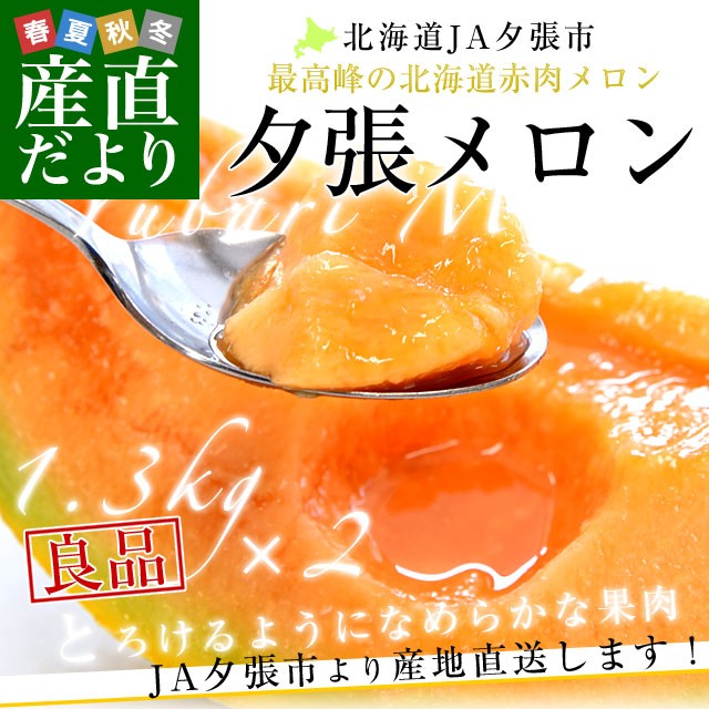 ついに再入荷 北海道より産地直送 Ja夕張市 夕張メロン 良品 2玉 1 3キロ 2玉 送料無料ゆうばり 夕張キング めろん 爆熱 Carlavista Com