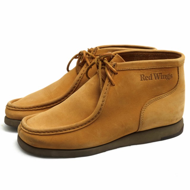 irish setter 891