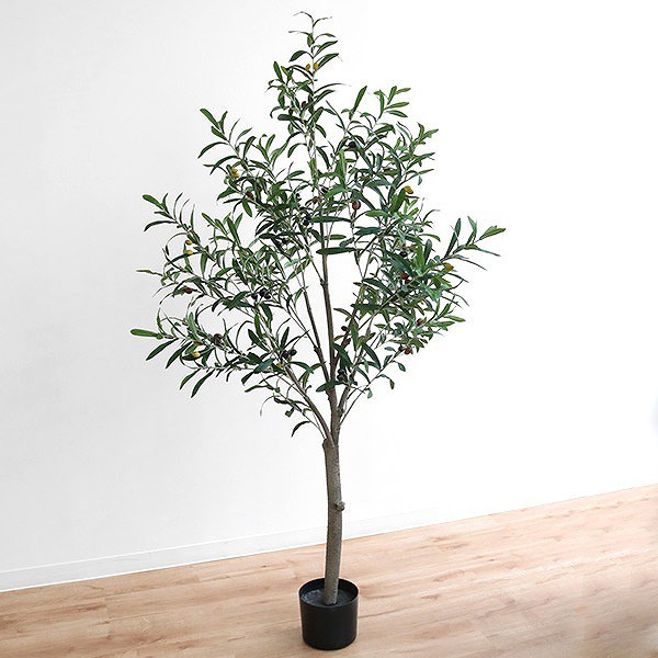 っているの 人工観葉植物 緑 グリーン 癒し リラックス 植木 の通販はau PAY マーケット - リビングート|商品ロット オリーブ 152cm フェイクグリーン 造花 ( 観葉植物 フェイク 人工植物 アートグリーン 〉ミニパイナ