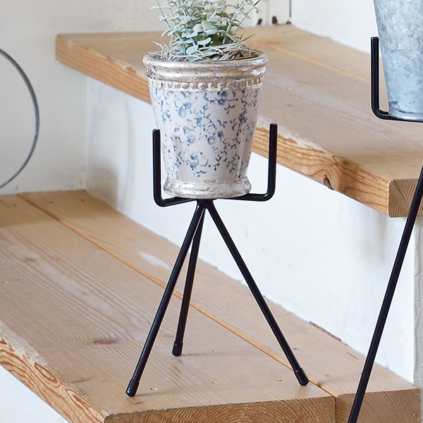 フラワー スタンド ココハル パワーレッグスタンド255 ポット ラック ガーデンスタンド ガーデニング用品 園芸 ガーデン 花台 鉢置き の通販はau Pay マーケット リビングート 商品ロットナンバー フラワー スタンド ココハル パワーレッグスタンド255 ポット ラック ガーデンスタンド ガーデニング用品 園芸 ガーデン 花台 鉢置き の通販はau Pay マーケット リビングート 商品ロットナンバー