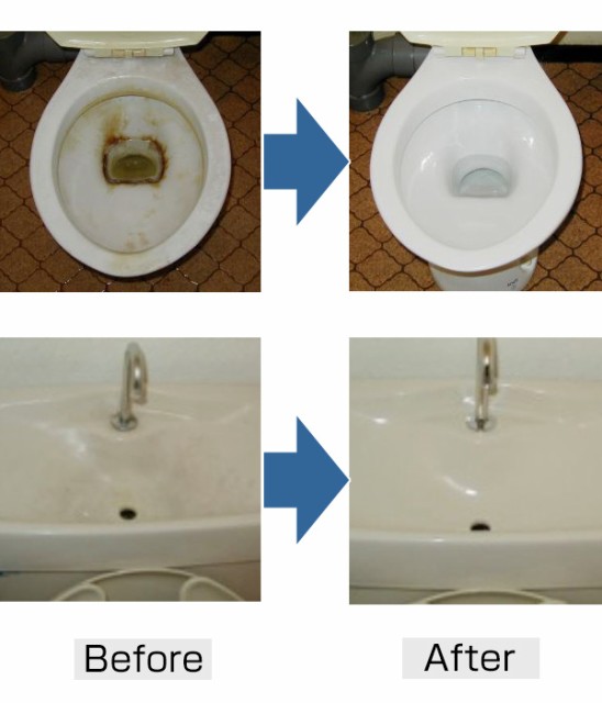 トイレ掃除 洗剤 500ml トイレ職人 技職人魂 業務用洗剤 （ トイレ 掃除 尿石 トイレ用洗剤 尿石落とし